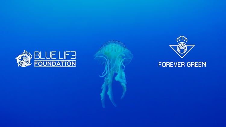 Blue Life Found. - Save Coral & Posidonia Campaign